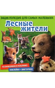 Познакомимся поближе! Лесные жители