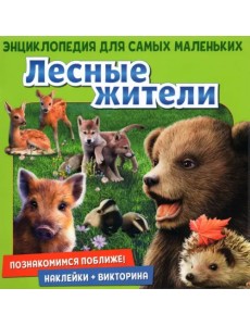 Познакомимся поближе! Лесные жители Познакомимся поближе! Лесные жители