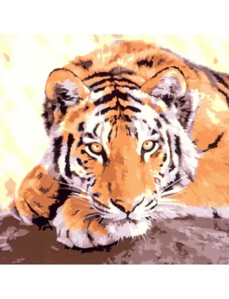 Холст с красками. Милый отдыхающий тигр