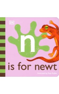 N is for Newt. Board Book