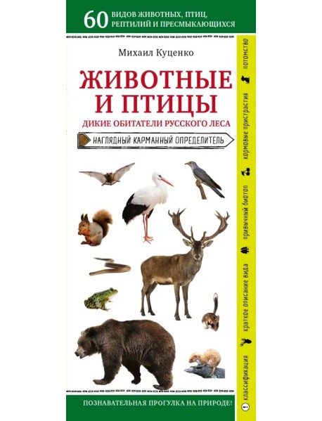 Животные и птицы. Дикие обитатели русского леса
