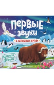 В холодных краях. Книжка-гармошка