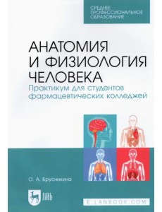 Анатомия и физиология человека. Практикум для студентов фармацевтических колледжей