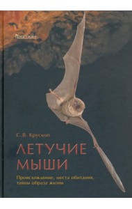 Летучие мыши. Происхождение, места обитания