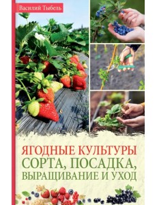 Ягодные культуры. Сорта, посадка, выращивание и уход