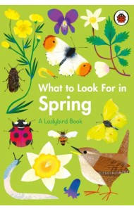What to Look For in Spring