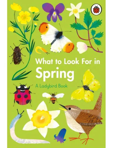 What to Look For in Spring