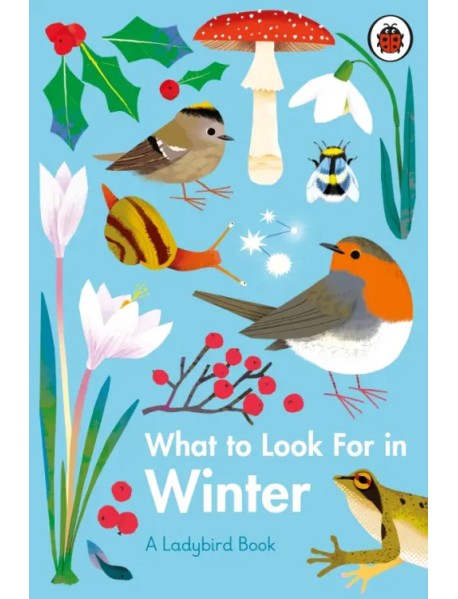 What to Look For in Winter