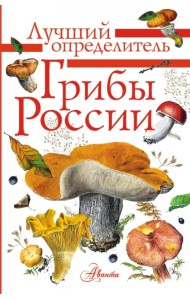 Грибы России