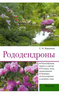 Рододендроны