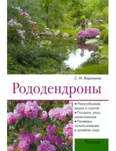 Рододендроны Рододендроны