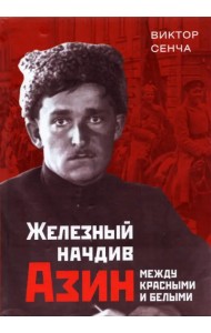 Железный начдив Азин. Между красными и белыми