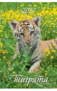 Тигрята. Календарь настенный с ригелем на 2022 год