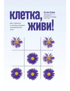Клетка, живи! Как строится и почему умирает человеческое тело