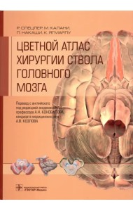 Цветной атлас хирургии ствола головного мозга