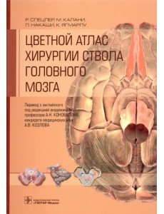 Цветной атлас хирургии ствола головного мозга Цветной атлас хирургии ствола головного мозга