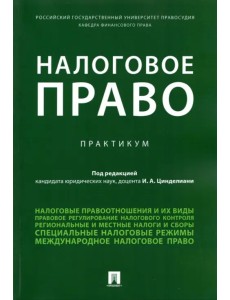 Налоговое право. Практикум