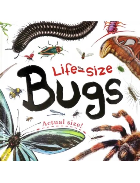Life-size. Bugs