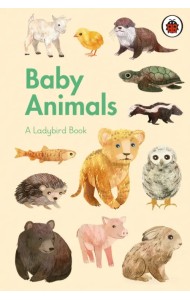 A Ladybird Book: Baby Animals