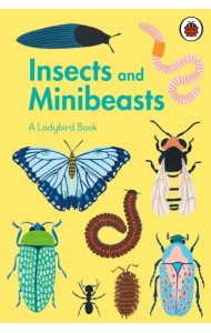 Ladybird Book. Insects and Minibeasts