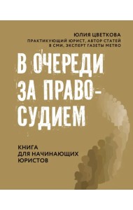 В очереди за правосудием. Книга для начинающих юристов