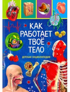 Как работает твоё тело. Детская энциклопедия Как работает твоё тело. Детская энциклопедия