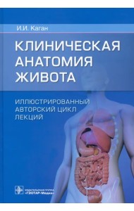 Клиническая анатомия живота. Иллюстрированный авторский цикл лекций