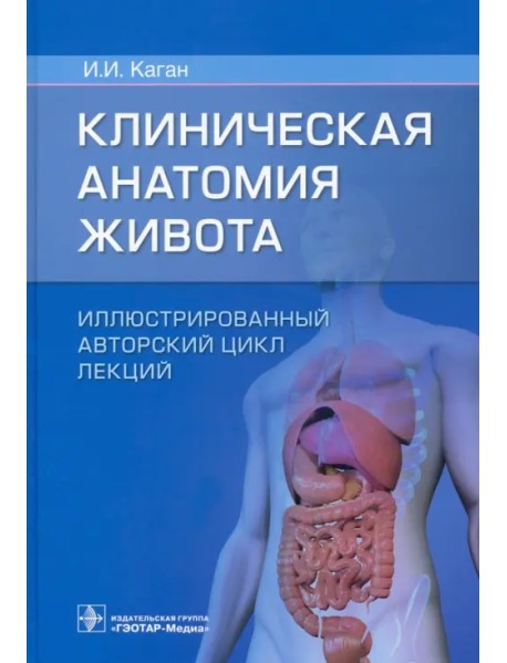Клиническая анатомия живота. Иллюстрированный авторский цикл лекций