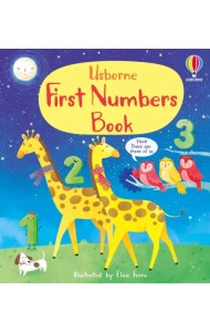 First Numbers Book. Board book