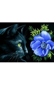 Живопись на холсте. Анемона, 30x40 см