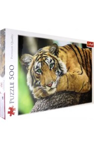 Пазл. Портрет тигра, 500 элементов