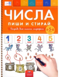 Числа. Пиши и стирай. Тетрадь для письма маркером для детей 4-5-6 лет. ФГОС ДО