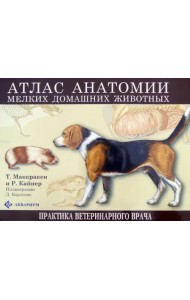 Атлас анатомии мелких домашних животных