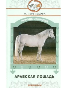 Арабская лошадь