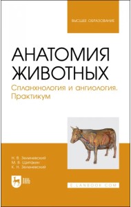 Анатомия животных. Спланхнология и ангиология. Практикум. Учебное пособие для вузов