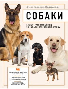 Собаки. Иллюстрированный гид по самым популярным породам Собаки. Иллюстрированный гид по самым популярным породам