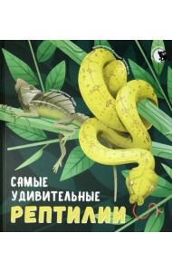 Самые удивительные рептилии