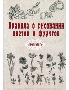 Правила о рисовании цветов и фруктов