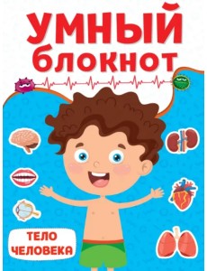 Тело человека Тело человека