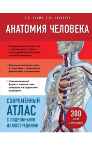 Анатомия человека. Современный атлас с подробными иллюстрациями