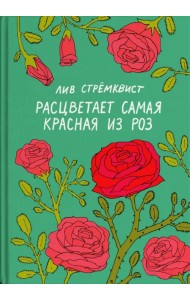Расцветает самая красная из роз