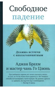 Свободное падение. Дхамма встречи с неблагоприятным