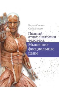 Полный атлас анатомии человека. Мышечно-фасциальные цепи