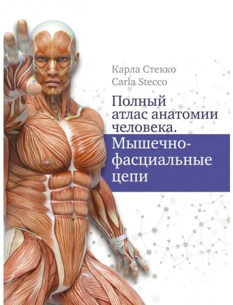 Полный атлас анатомии человека. Мышечно-фасциальные цепи