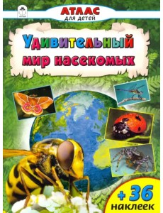 Удивительный мир насекомых Удивительный мир насекомых