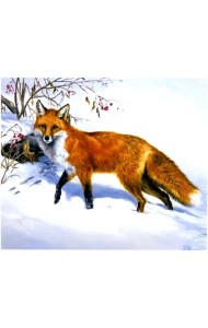 Картина для раскрашивания по номерам по дереву. Лиса, 30х40 см