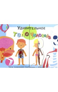 Тело человека