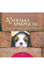 Капелька храбрости. Как достойно встречать трудности жизни