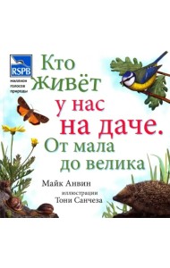 Кто живет у нас на даче. От мала до велика