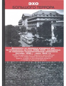 Эхо Большого террора. Сборник документов в трех томах. Том 2. Документы из архивных уголовных дел Эхо Большого террора. Сборник документов в трех томах. Том 2. Документы из архивных уголовных дел
